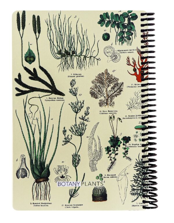 دفتر سیمی جلد سخت دات نوت 100 برگ  طرح plants